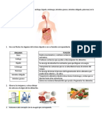 Taller Sistema Digestivo Tercero