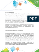 Anexo Guía de Actividades Fase 3 - Estudio de Caso en Colombia