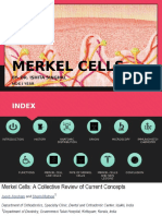 Merkel Cells Merkel Cells: By-Dr. Ishita Singhal by - Dr. Ishita Singhal