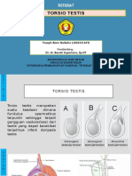 Torsio Testis - Referat