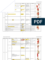 Anatomia Resumen Musculos Miembro Inferior.pdf