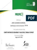 Certificado Del Curso PDF