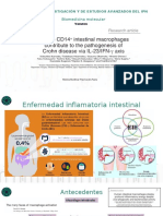 Macrofagos Intestinales CD14+