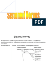 Sistemul Nervos 108pag.pdf