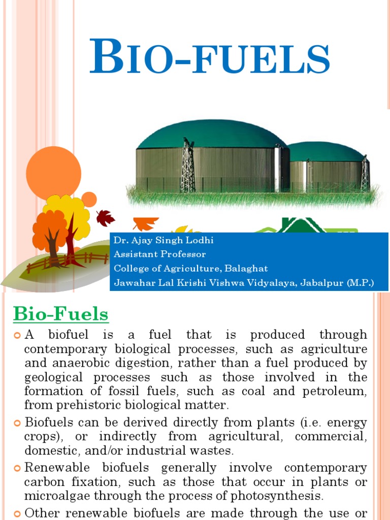 Understanding Biofuels and Biodiesel | PDF | Biodiesel | Diesel Fuel