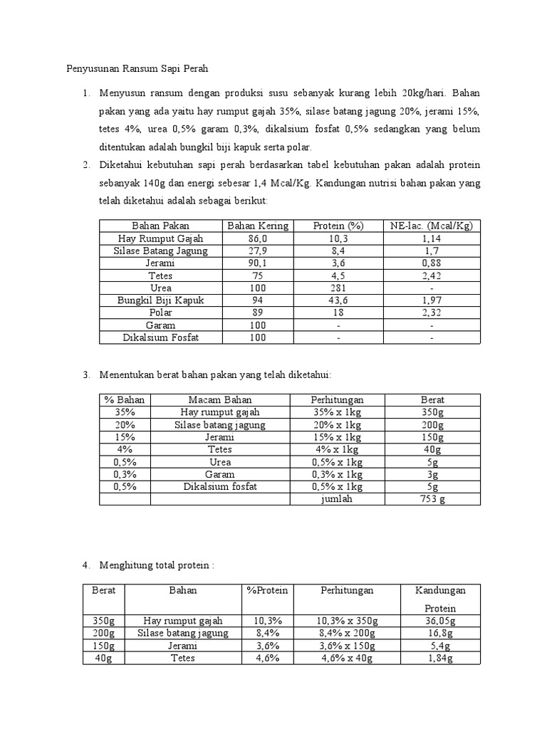 Ransum Optimal Sapi Perah 20kg/hari | PDF