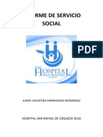 INFORME DE SERVICIO SOCIAL Hospittal