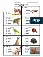 Animal Classification Assessment Tool