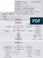 Cuadros Osteopatía