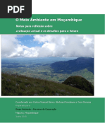 1548402043-Meio Ambiente em Mozambique 2013.pdf