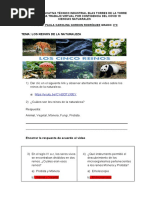 Taller 1 de Los Reinos de La Naturaleza 3 Grado