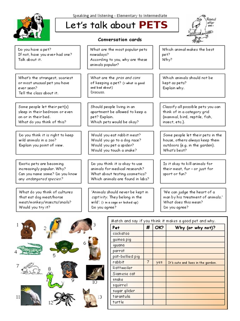 ESL Activities: Discussing Pets | PDF | Pet | Animals And Humans