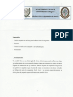 Practica N° 2 Pendulo Fisico (1).pdf