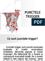 132408934-Trigger-Point.pdf
