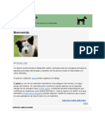 Portal Perros