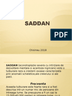 SADDAN