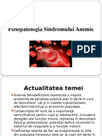 Fiziopatologia Sindromului Anemic