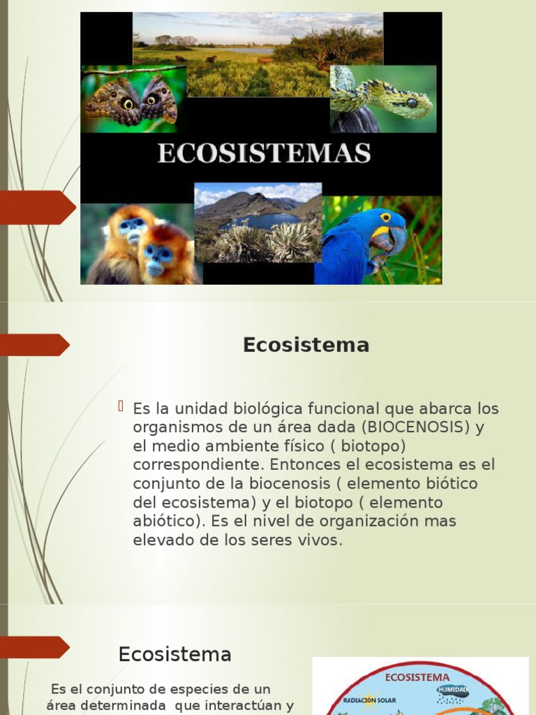 Ecologia | PDF | Ecosistema | Suelo