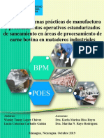 BPM Carne Bovina PDF