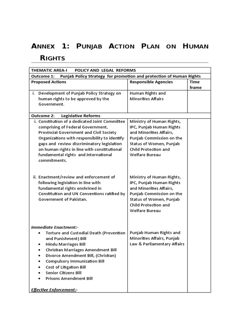 Punjab Action Plan On Human Rights | PDF | Human Rights | Women's Rights