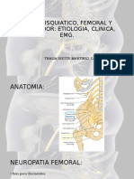 Nervio Isquiatico, Femoral y Obturador Emg