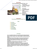 Agroindústria - Processamento Artesanal de Frutas - Licor.pdf