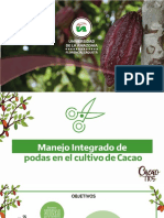 Cacao Tic S-Presentación Unidad I PDF