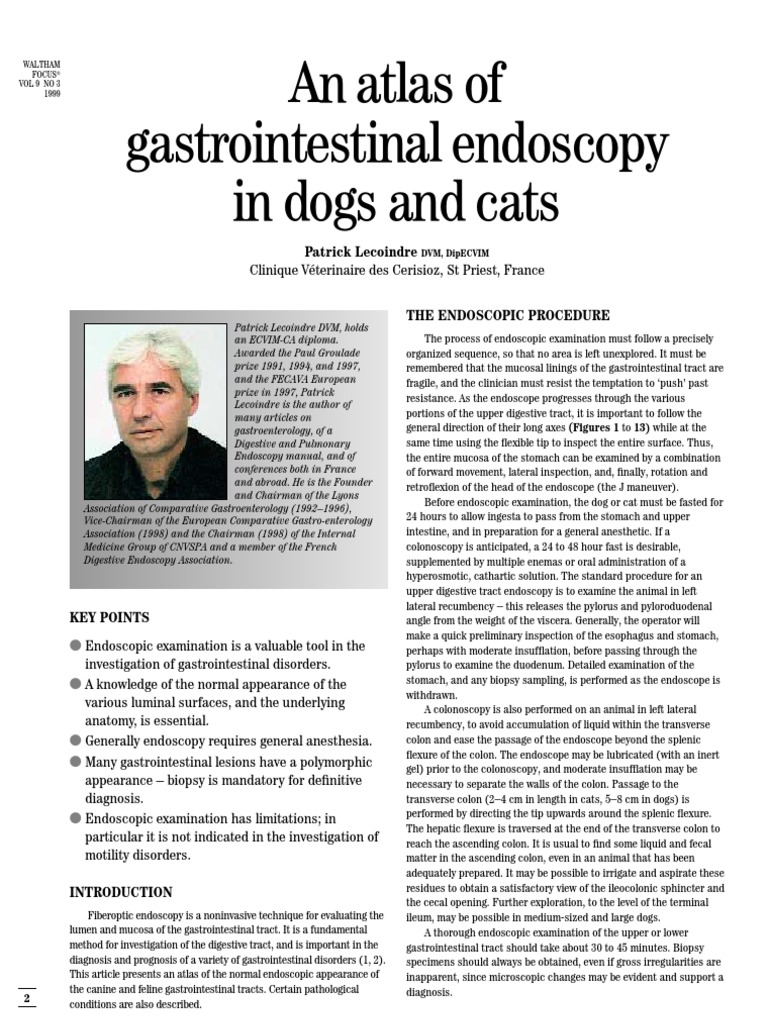 Atlas of Gastrointestinal Endoscopy in Dogs and Cats PDF Esophagus