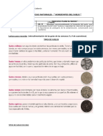 6º Ciencias Semana 04-08 Mayo