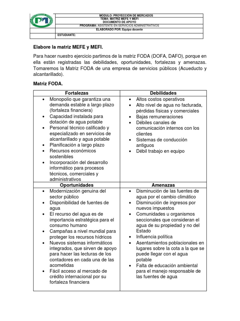 Ejemplo de Matriz MEFE y MEFI | PDF | Análisis FODA | Agua