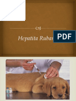 Hepatita Rubarth