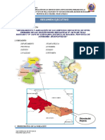 Resumen Ejecutivo 15.11