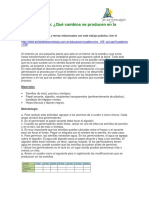 32Germinacion.pdf