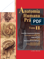 Anatomia - Tomo Dos - R