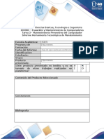 Anexo1_Plantilla_Informe (2).docx