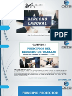Curso Especializado Derecho Laboral 2019 PDF