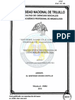 RISCO PATIÑO LORENZO ANTONIO (FILEminimizer) PDF