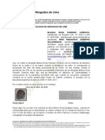 Formulario Auxilio Abogados LP