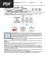 3 Leyes de Los Gases Estados de La Materia