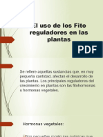 El uso de los Fito reguladores en las.pptx