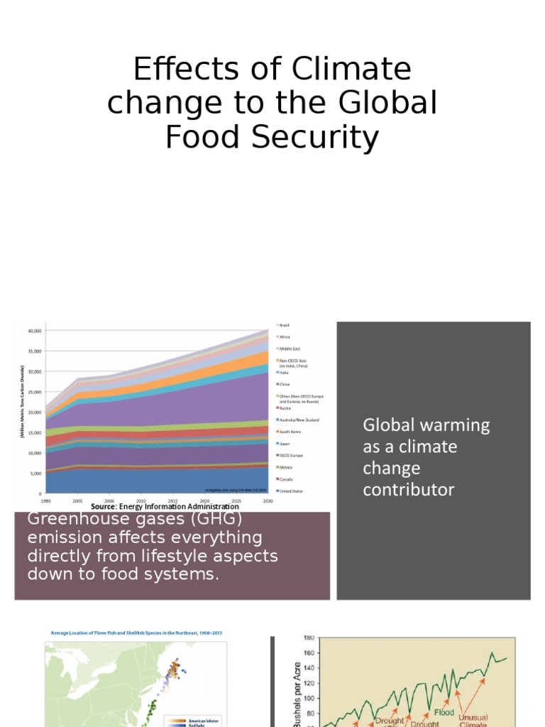 Effects of Climate Change To The Global Food | PDF | Effects Of Global ...