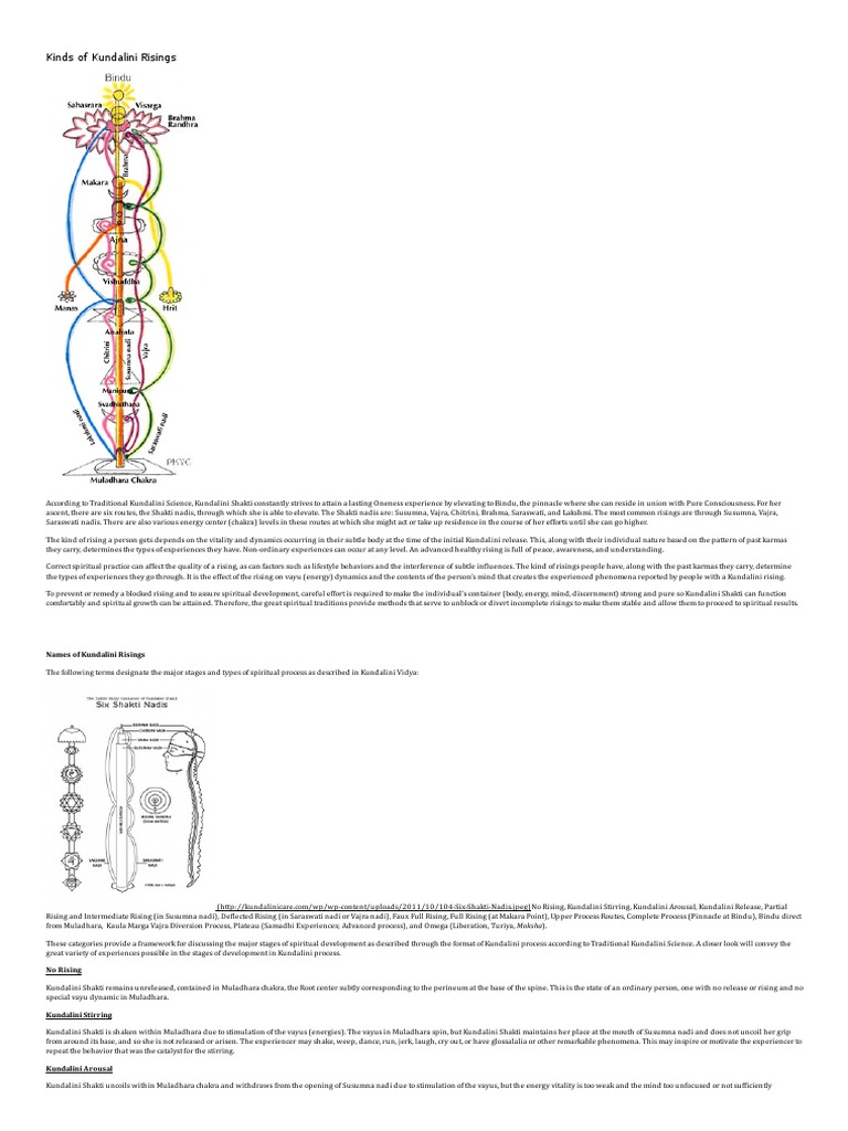 Types of Kundalini Risings Explained | PDF | Kundalini | Chakra