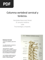 Download Columna vertebral cervical y torcica by mondermoy SN46059877 doc pdf