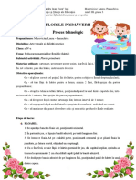 Macoviciuc Laura (PIPP, GRUPA 3) - PROCES TEHNOLOGIC+OBIECTIVE PDF