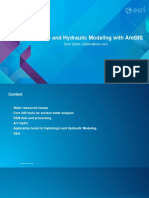 ArcGIS in Flow Modelling PDF