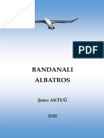 Bandanalı Albatros