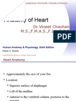 Anatomy Heart and Great Vessels