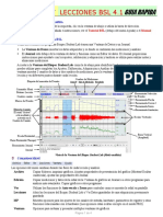 BSL Quick Guide-Es PDF