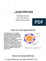 Presentación Sin Título