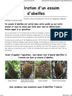 Récupération d'un essaim d'abeilles.pdf